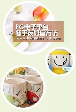 关于PG体育