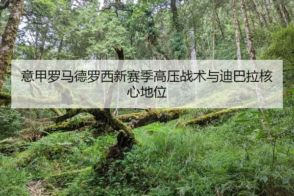 yi-jia-luo-ma-de-luo-xi-xin-sai-ji-gao-ya-zhan-shu-yu-di-ba-la-he-xin-di-wei-2-737.jpg