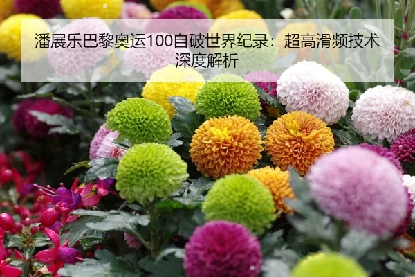 潘展乐巴黎奥运100自破世界纪录：超高滑频技术深度解析