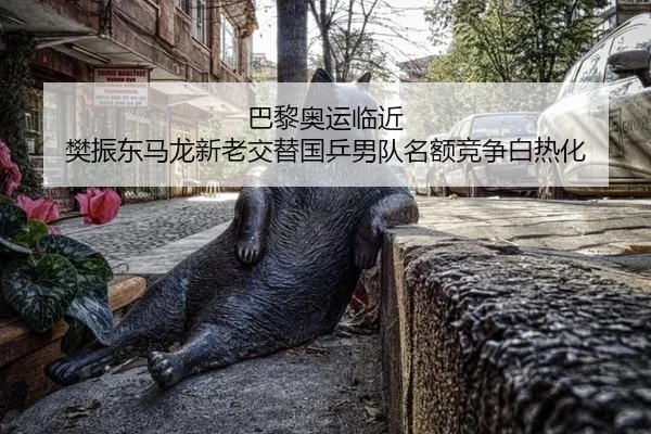 ba-li-ao-yun-lin-jin-fan-zhen-dong-ma-long-xin-lao-jiao-ti-guo-ping-nan-dui-ming-e-jing-zheng-bai-re-hua-3-425.jpg