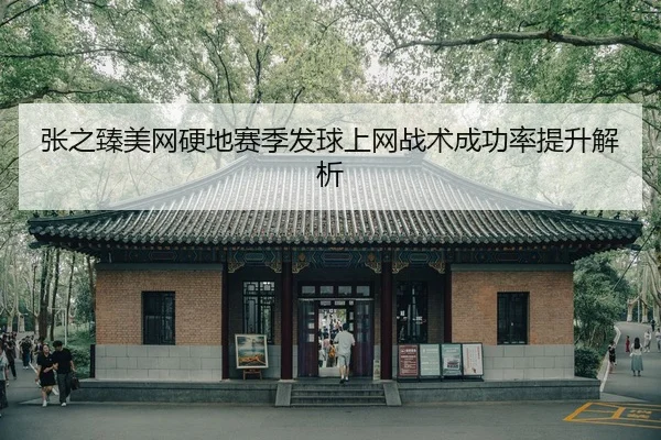 zhang-zhi-zhen-mei-wang-ying-di-sai-ji-fa-qiu-shang-wang-zhan-shu-cheng-gong-lv-ti-sheng-jie-xi-2-838.jpg