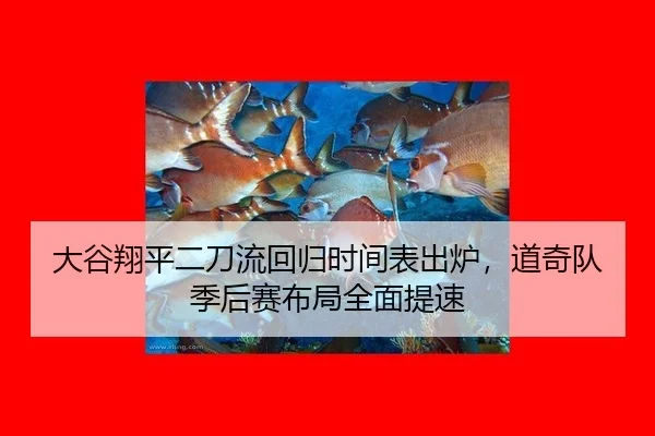 da-gu-xiang-ping-er-dao-liu-hui-gui-shi-jian-biao-chu-lu-dao-qi-dui-ji-hou-sai-bu-ju-quan-mian-ti-su-3-142.jpg