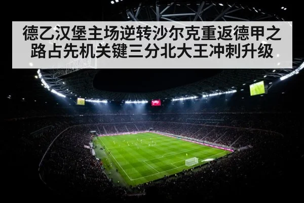 德乙汉堡主场逆转沙尔克重返德甲之路占先机关键三分北大王冲刺升级