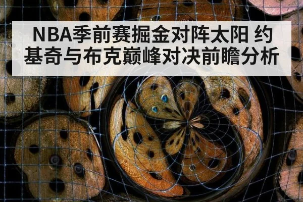 NBA季前赛掘金对阵太阳 约基奇与布克巅峰对决前瞻分析