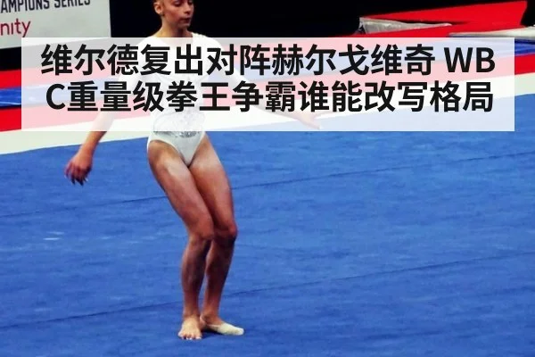 维尔德复出对阵赫尔戈维奇 WBC重量级拳王争霸谁能改写格局