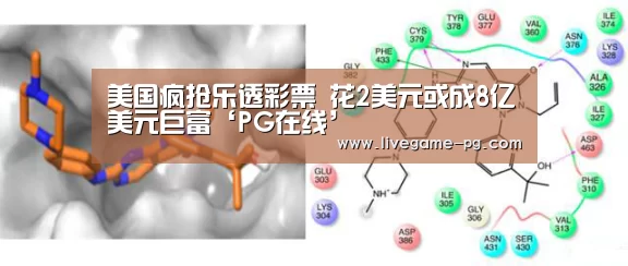 美国疯抢乐透彩票 花2美元或成8亿美元巨富‘PG在线’(图1) PG登录