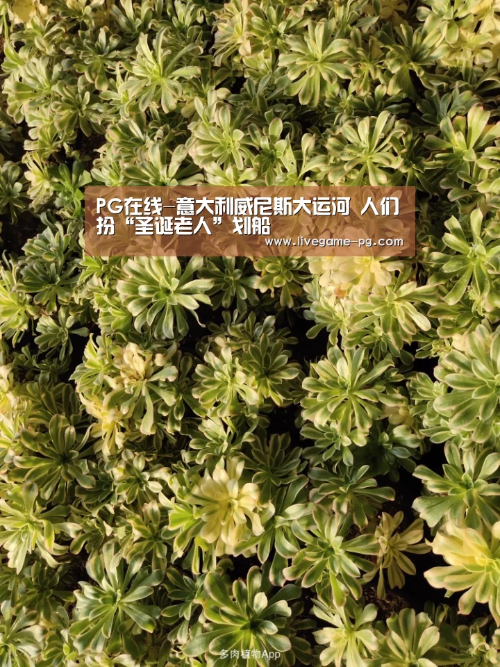 PG在线
