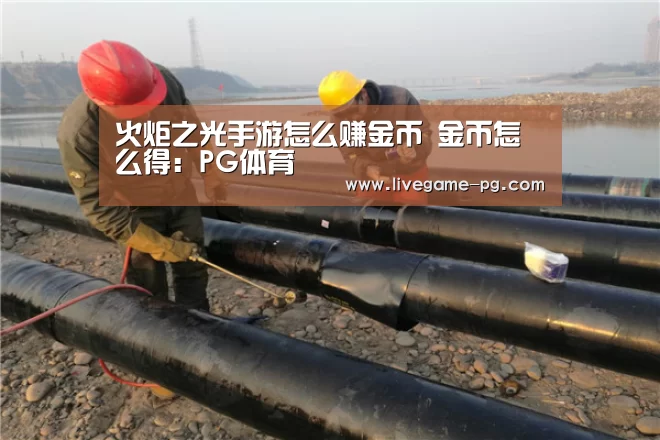 火炬之光手游怎么赚金币 金币怎么得:PG体育(图1) PG在线